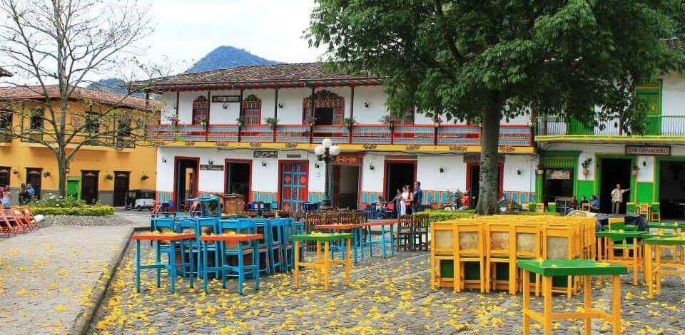 TOUR A JARDÍN<br>Cultivos de Café